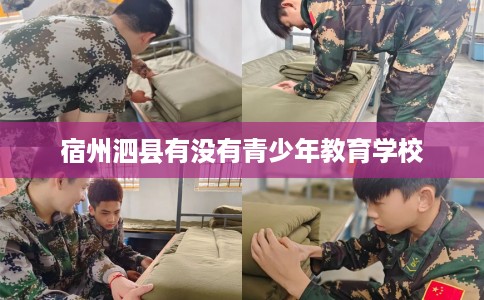 宿州泗县有没有青少年教育学校
