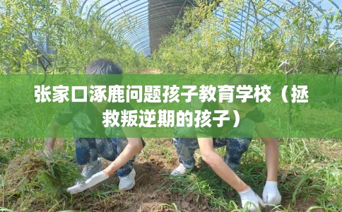 张家口涿鹿问题孩子教育学校（拯救叛逆期的孩子）