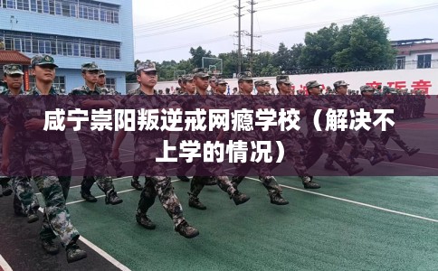 咸宁崇阳叛逆戒网瘾学校（解决不上学的情况）