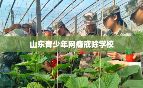 山东青少年网瘾戒除学校