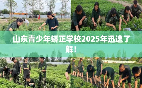 山东青少年矫正学校2025年迅速了解！