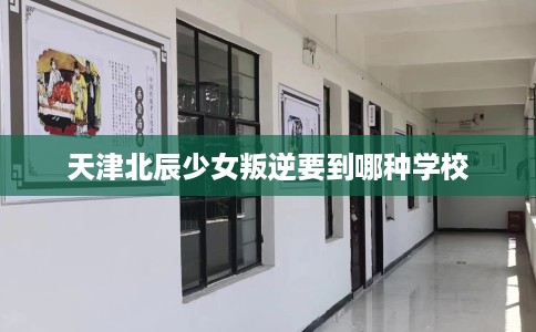 天津北辰少女叛逆要到哪种学校