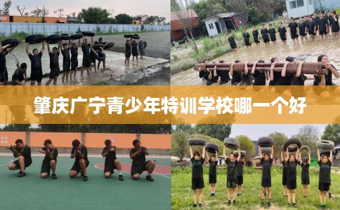 肇庆广宁青少年特训学校哪一个好
