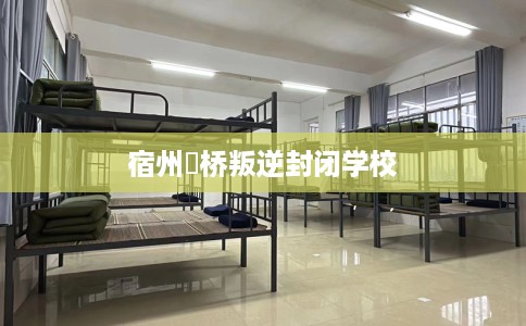 宿州埇桥叛逆封闭学校