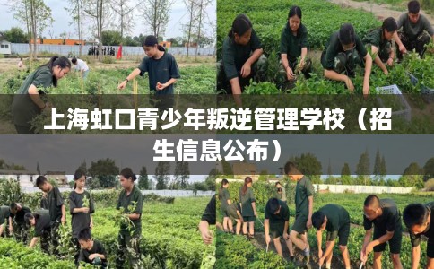 上海虹口青少年叛逆管理学校（招生信息公布）