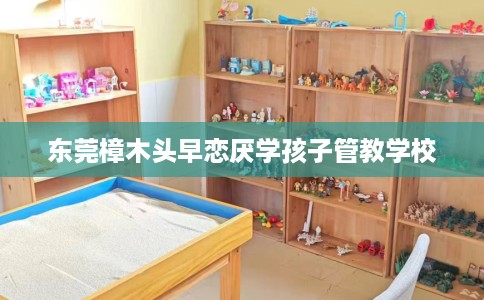 东莞樟木头早恋厌学孩子管教学校