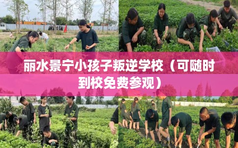 丽水景宁小孩子叛逆学校（可随时到校免费参观）