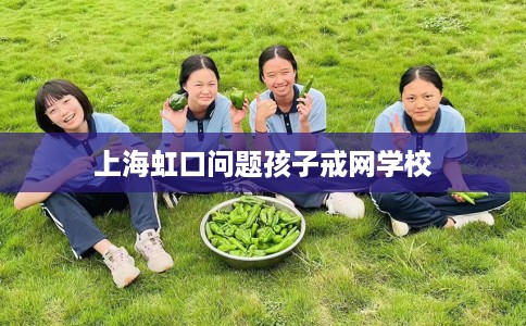 上海虹口问题孩子戒网学校