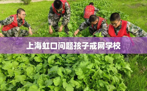 上海虹口问题孩子戒网学校
