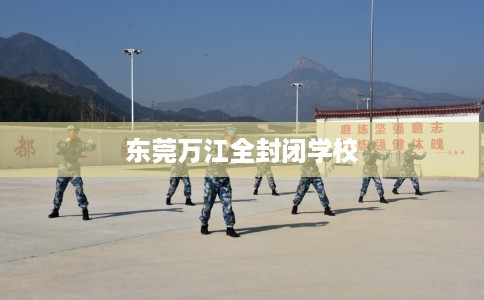 东莞万江全封闭学校