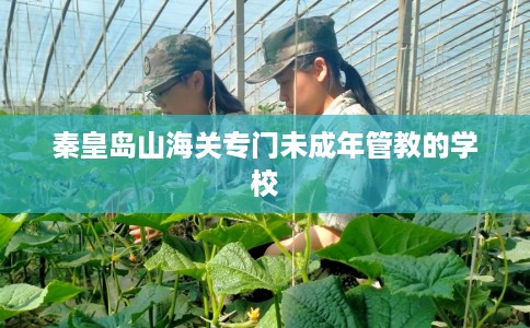 秦皇岛山海关专门未成年管教的学校