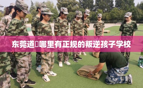 东莞道滘哪里有正规的叛逆孩子学校
