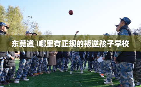 东莞道滘哪里有正规的叛逆孩子学校