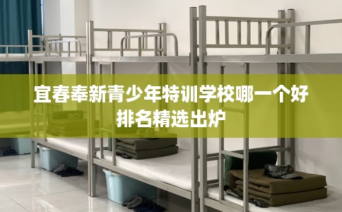宜春奉新青少年特训学校哪一个好排名精选出炉 宜春奉新青少年特训学校哪一个好排名精选出炉