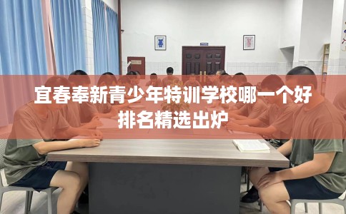 宜春奉新青少年特训学校哪一个好排名精选出炉 宜春奉新青少年特训学校哪一个好排名精选出炉