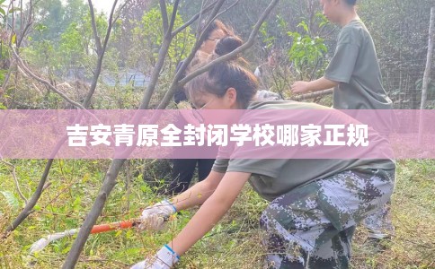 吉安青原全封闭学校哪家正规