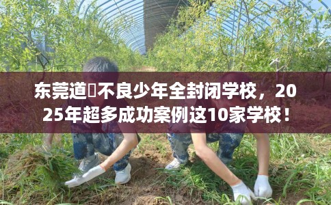 东莞道滘不良少年全封闭学校，2025年超多成功案例这10家学校！