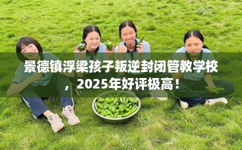 景德镇浮梁孩子叛逆封闭管教学校，2025年好评极高！