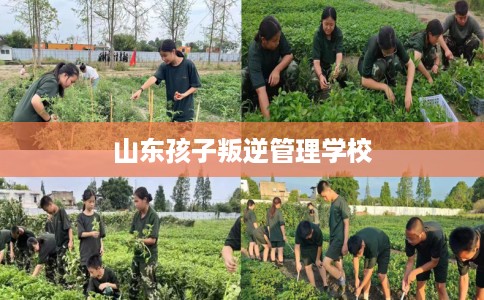 山东孩子叛逆管理学校