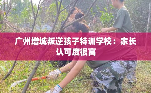 广州增城叛逆孩子特训学校：家长认可度很高