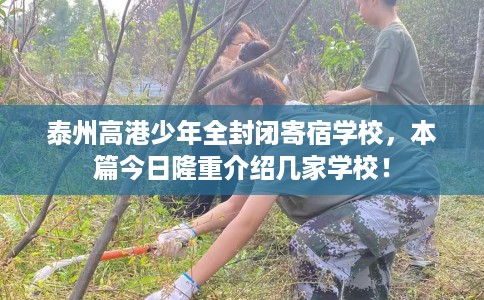 泰州高港少年全封闭寄宿学校，本篇今日隆重介绍几家学校！