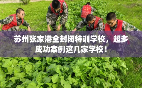 苏州张家港全封闭特训学校，超多成功案例这几家学校！