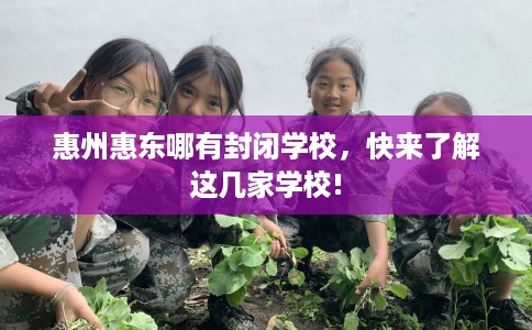 惠州惠东哪有封闭学校，快来了解这几家学校!