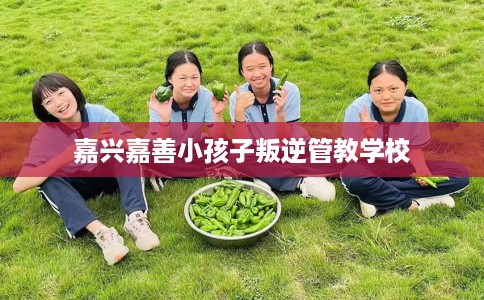 嘉兴嘉善小孩子叛逆管教学校