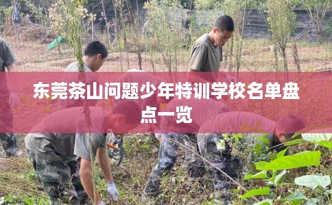 东莞茶山问题少年特训学校名单盘点一览