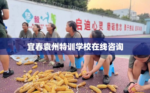 宜春袁州特训学校在线咨询