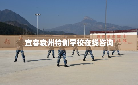 宜春袁州特训学校在线咨询