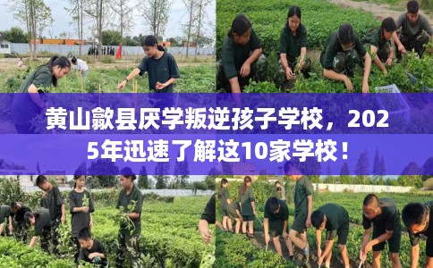 黄山歙县厌学叛逆孩子学校，2025年迅速了解这10家学校！