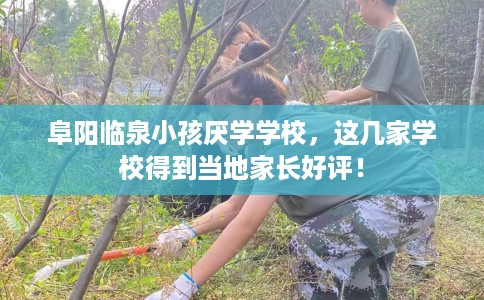阜阳临泉小孩厌学学校，这几家学校得到当地家长好评！