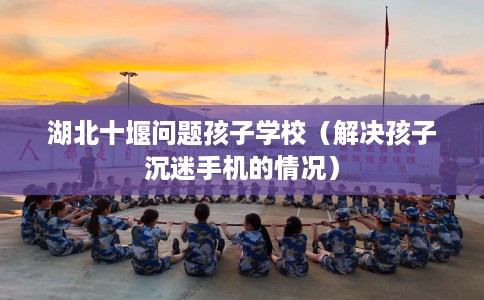 湖北十堰问题孩子学校（解决孩子沉迷手机的情况）