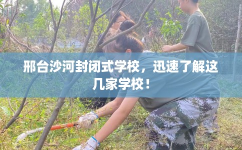 邢台沙河封闭式学校，迅速了解这几家学校！