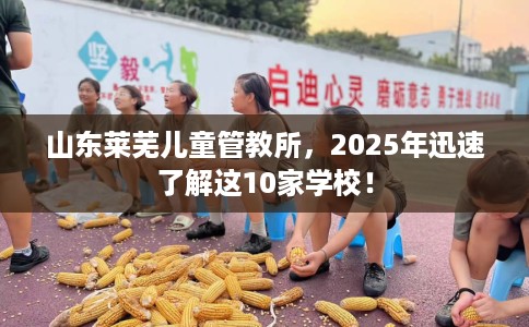 山东莱芜儿童管教所，2025年迅速了解这10家学校！