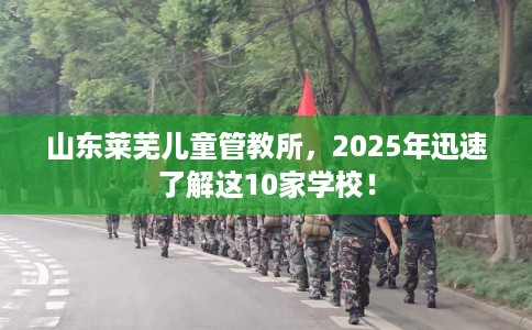山东莱芜儿童管教所，2025年迅速了解这10家学校！