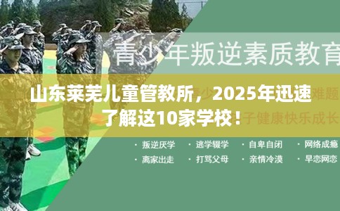 山东莱芜儿童管教所，2025年迅速了解这10家学校！