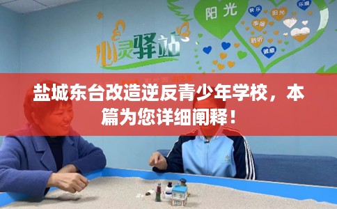 盐城东台改造逆反青少年学校，本篇为您详细阐释！