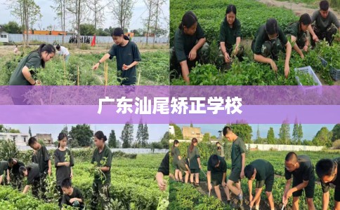 广东汕尾矫正学校 广东汕尾矫正学校