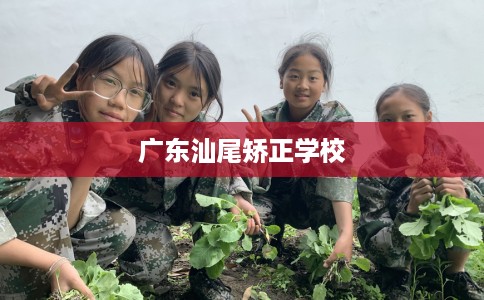 广东汕尾矫正学校 广东汕尾矫正学校