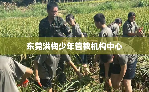 东莞洪梅少年管教机构中心