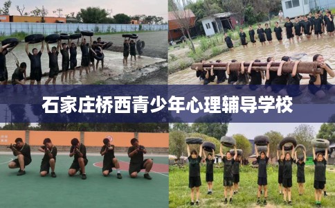 石家庄桥西青少年心理辅导学校