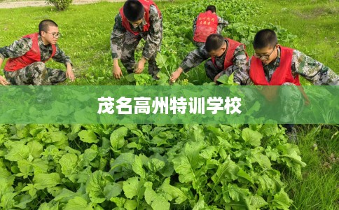 茂名高州特训学校