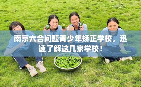 南京六合问题青少年矫正学校，迅速了解这几家学校！