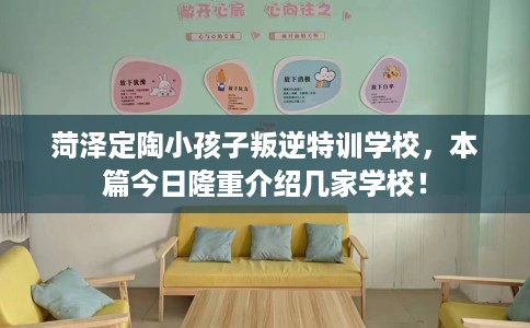 菏泽定陶小孩子叛逆特训学校，本篇今日隆重介绍几家学校！