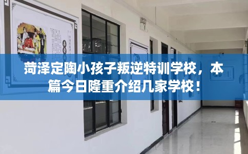 菏泽定陶小孩子叛逆特训学校，本篇今日隆重介绍几家学校！