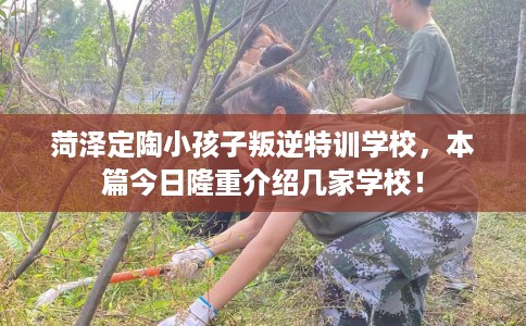 菏泽定陶小孩子叛逆特训学校，本篇今日隆重介绍几家学校！