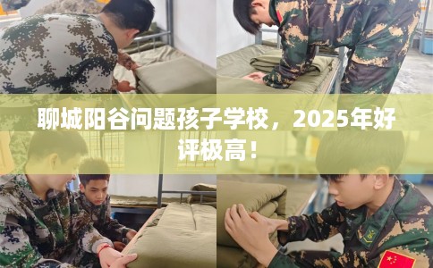 聊城阳谷问题孩子学校，2025年好评极高！