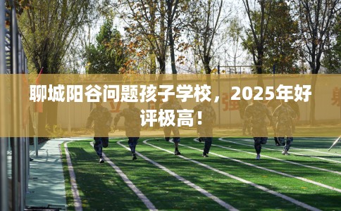 聊城阳谷问题孩子学校，2025年好评极高！